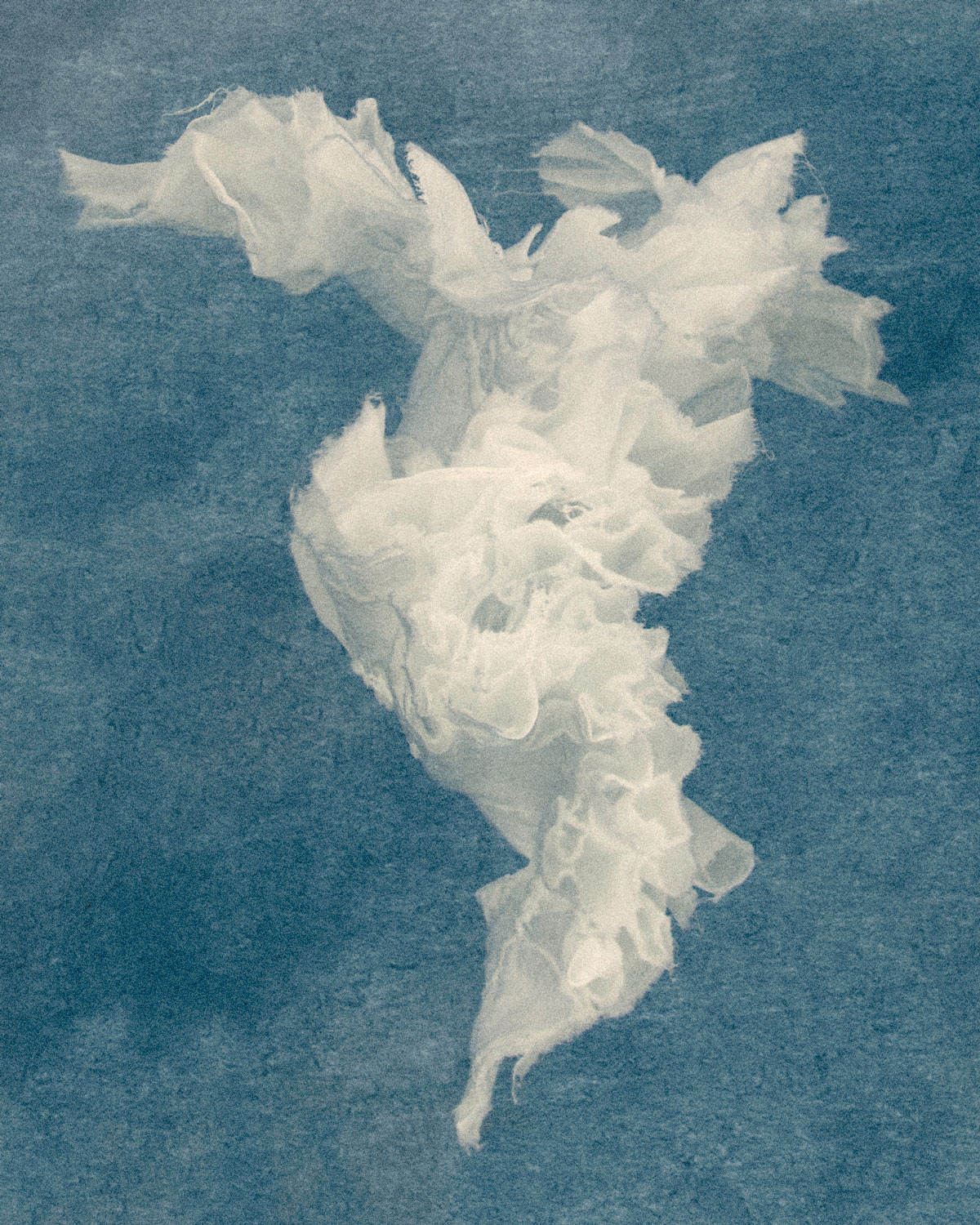 The Journey, Diana Jane Artist, photography, digital art,